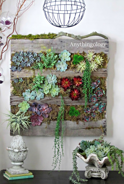 shipping pallet succulent wall