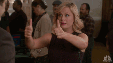 Image result for leslie knope you got this