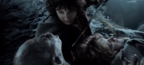 Image result for Frodo Two towers gif