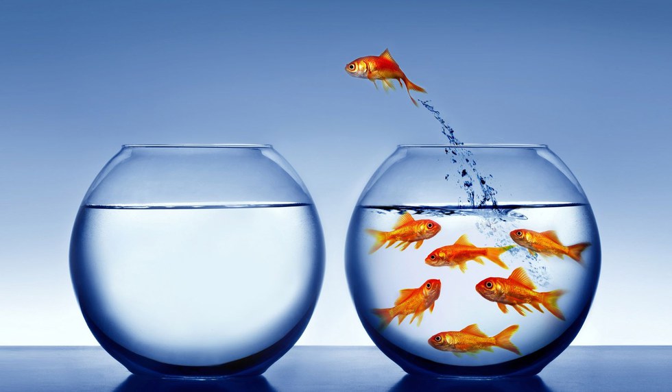 What is the fishbowl metaphor?