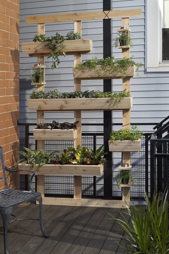 Living garden wall or divider
