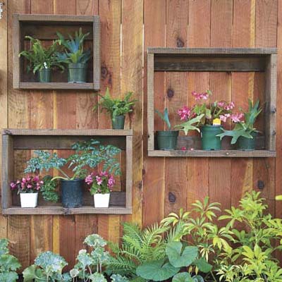 put small plants into shadow boxes outside