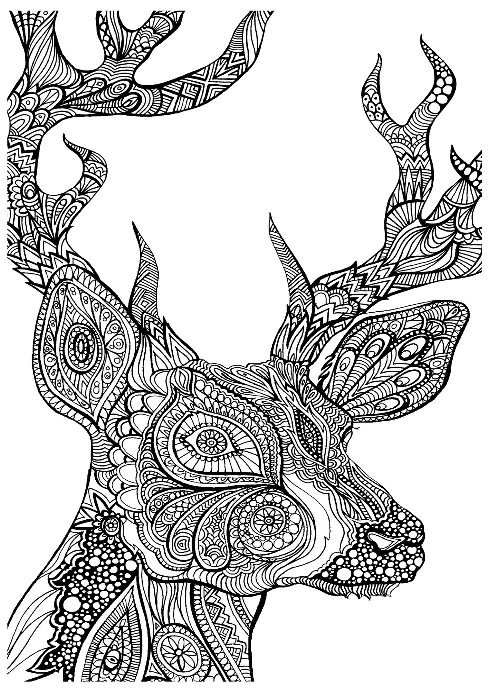 zen coloring animals pages - photo #27