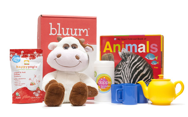 Bluum -- toy subscription boxes