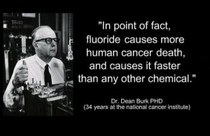 https://media.rbl.ms/image?u=/wp-content/uploads/2014/04/15-Facts-Most-People-Dont-Know-About-Fluoride-300x195.jpg&ho=http://wakeup-world